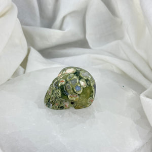 Rain Forest Jasper Skull