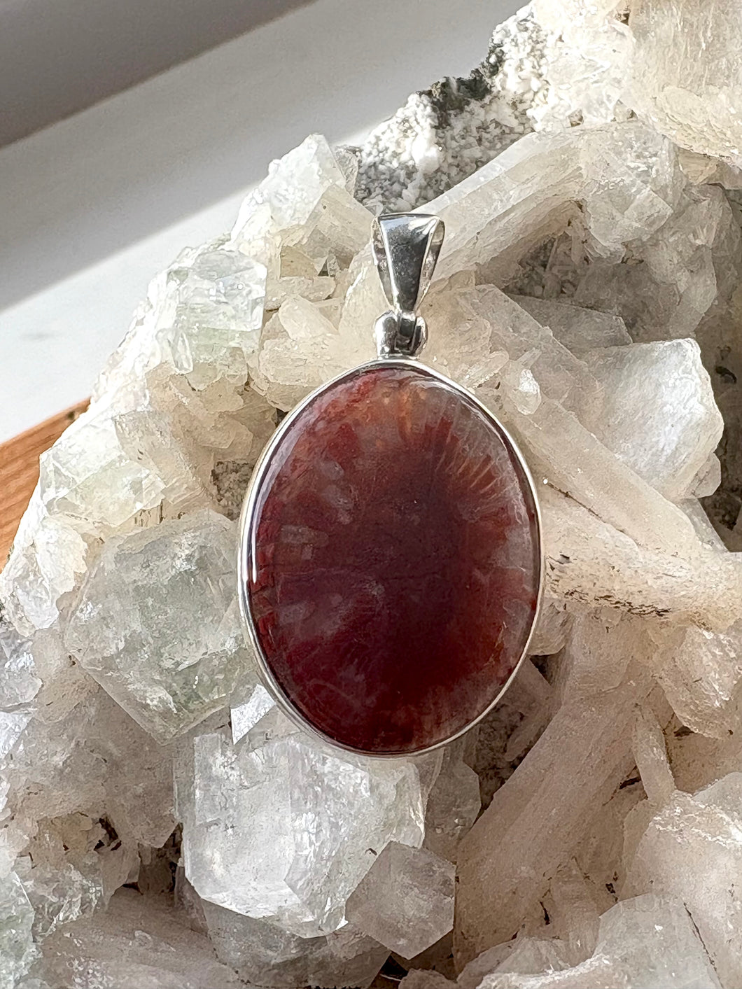 Utah Fossil Red Horn Coral No. 2 Pendant | 925 Sterling Silver