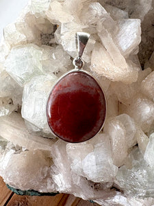 Utah Fossil Red Horn Coral    No. 1   Pendant | 925 Sterling Silver
