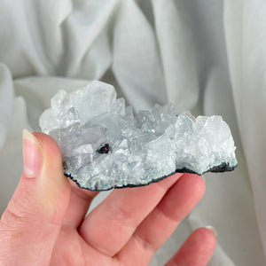 Apophyllite Cluster