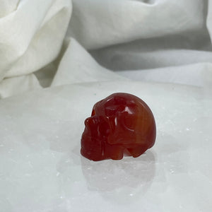 Mini Carnelian Skull