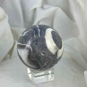 Shell Fossil Sphere