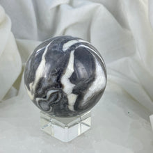 Shell Fossil Sphere