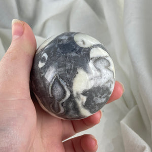 Shell Fossil Sphere