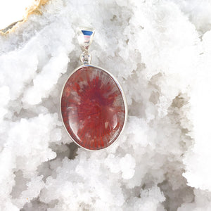Utah Fossil Red Horn Coral    No. 2   Pendant | 925 Sterling Silver