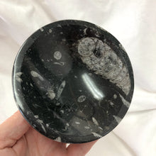 Fossil | Orthoceras Bowl | Crystal Life Australia