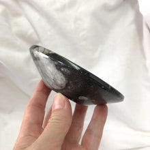 Fossil | Orthoceras Bowl | Crystal Life Australia