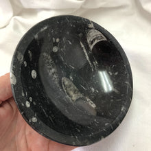 Fossil | Orthoceras Bowl | Crystal Life Australia