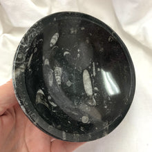Fossil | Orthoceras Bowl | Crystal Life Australia