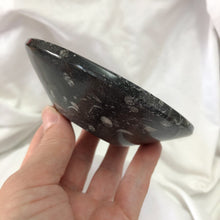 Fossil | Orthoceras Bowl | Crystal Life Australia