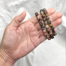 Petrified Wood | Tumble Bead Bracelet | Crystal Life Australia