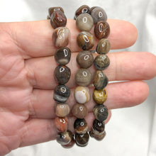 Petrified Wood | Tumble Bead Bracelet | Crystal Life Australia