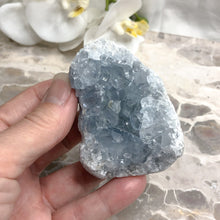 Celestite | Cluster | Natural Specimen | Crystal Life Australia