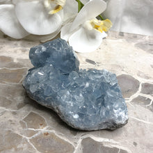 Celestite | Cluster | Natural Specimen | Crystal Life Australia