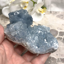 Celestite | Cluster | Natural Specimen | Crystal Life Australia