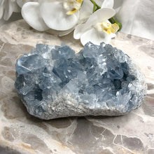 Celestite | Cluster | Natural Specimen | Crystal Life Australia