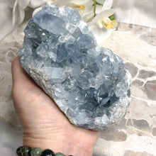 Celestite | Cluster | Natural Specimen | Crystal Life Australia