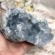 Celestite | Cluster | Natural Specimen | Crystal Life Australia
