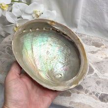 Smudge Kit Energy Clearing  | Crystal Life Australia 