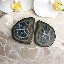 Septarian Nodule. | Pseudo Fossil | Crystal Life Australia