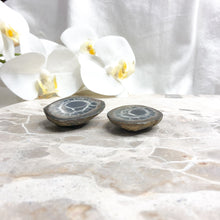 Septarian Nodule. | Pseudo Fossil | Crystal Life Australia