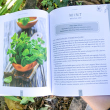 Plants of Power | Book | Crystal Life Australia | Brisbane