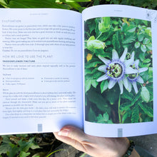 Plants of Power | Book | Crystal Life Australia | Brisbane