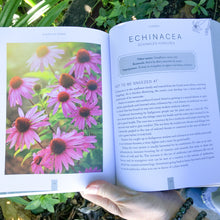 Plants of Power | Book | Crystal Life Australia | Brisbane
