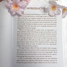 The Angel Numbers Book | Book | Crystal Life Australia | Brisbane