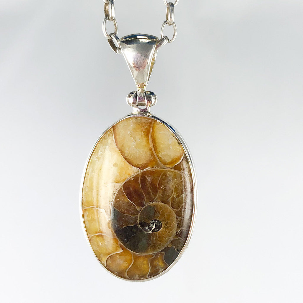 Ammonite | Sterling Silver Pendant | Ajna Jewels & Gems | Crystal Shop | Brisbane | Australia