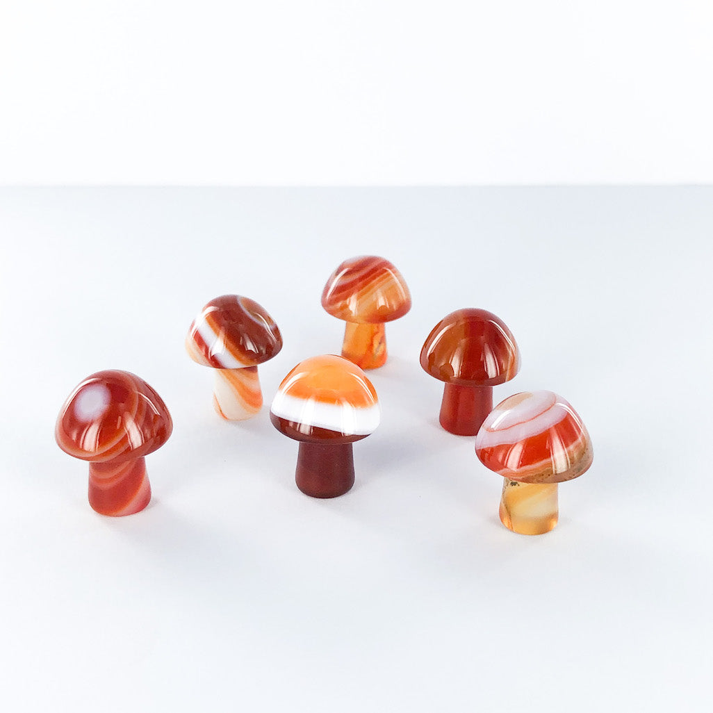 Carnelian | Mini Mushroom | Ajna Jewels | Crystal Shop | Brisbane | Australia