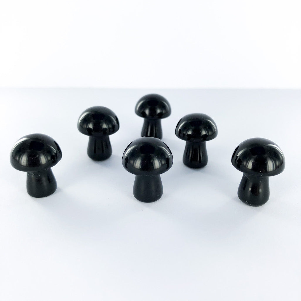 Black Obsidian  | Mini Mushroom | Ajna Jewels | Crystal Shop | Brisbane | Australia
